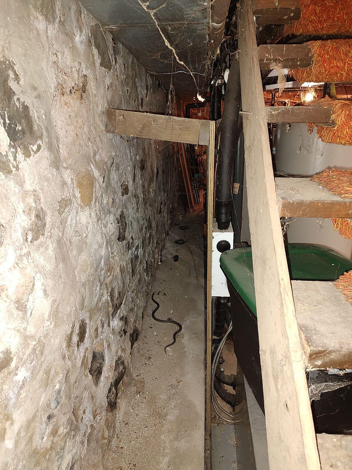 PR368983 Before