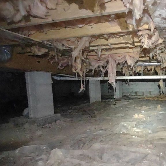 Crawlspace1 Before