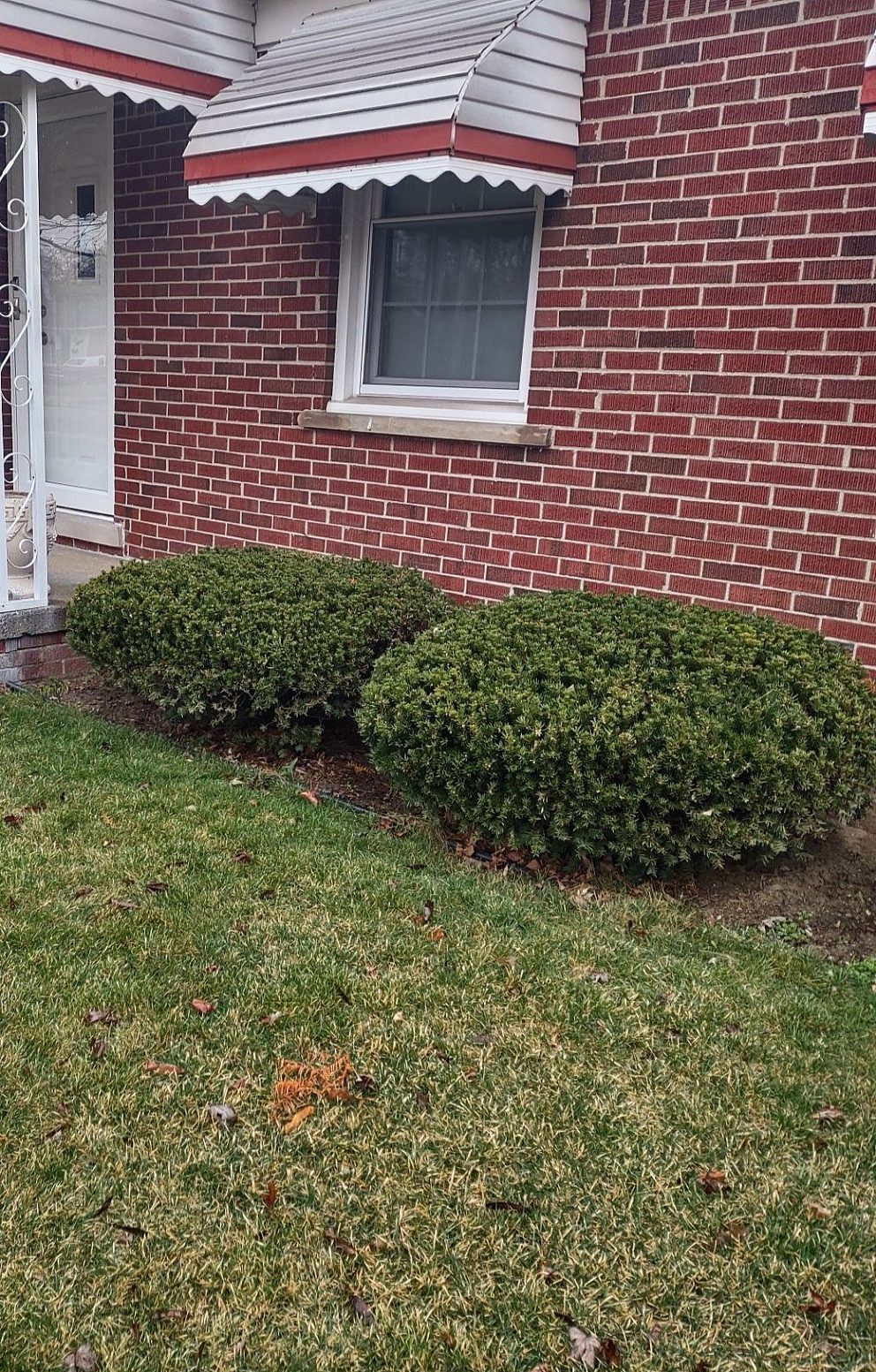 PR355831 before