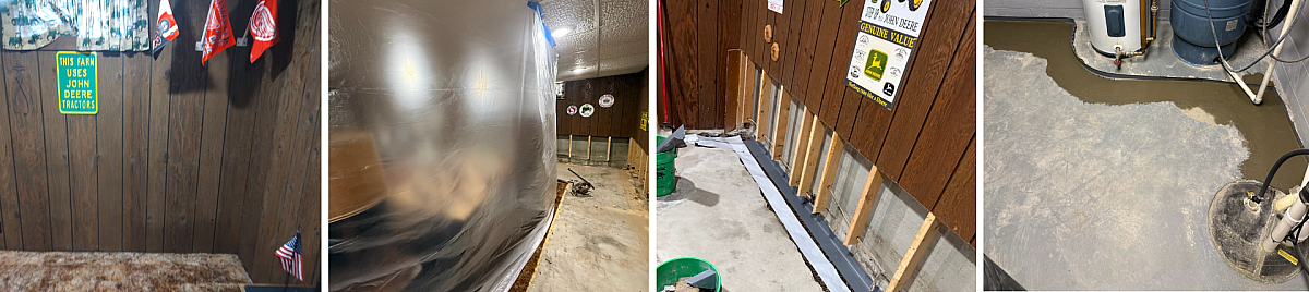 St Johns Michigan Mold and Wood Paneling