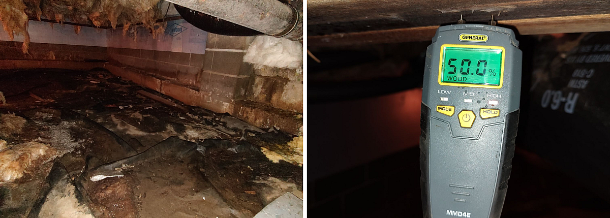 Why is my crawl space wet what every michigan homeowner should know blog1