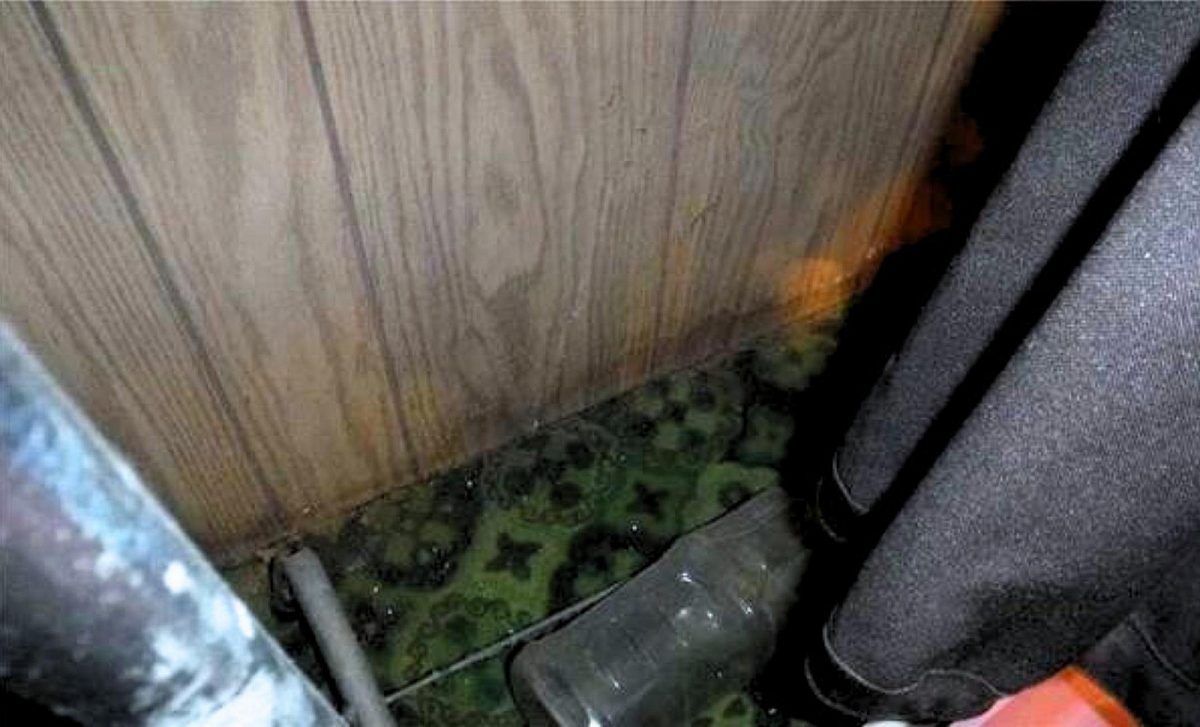 Are Wood Panels in Your Basement Hiding Mold