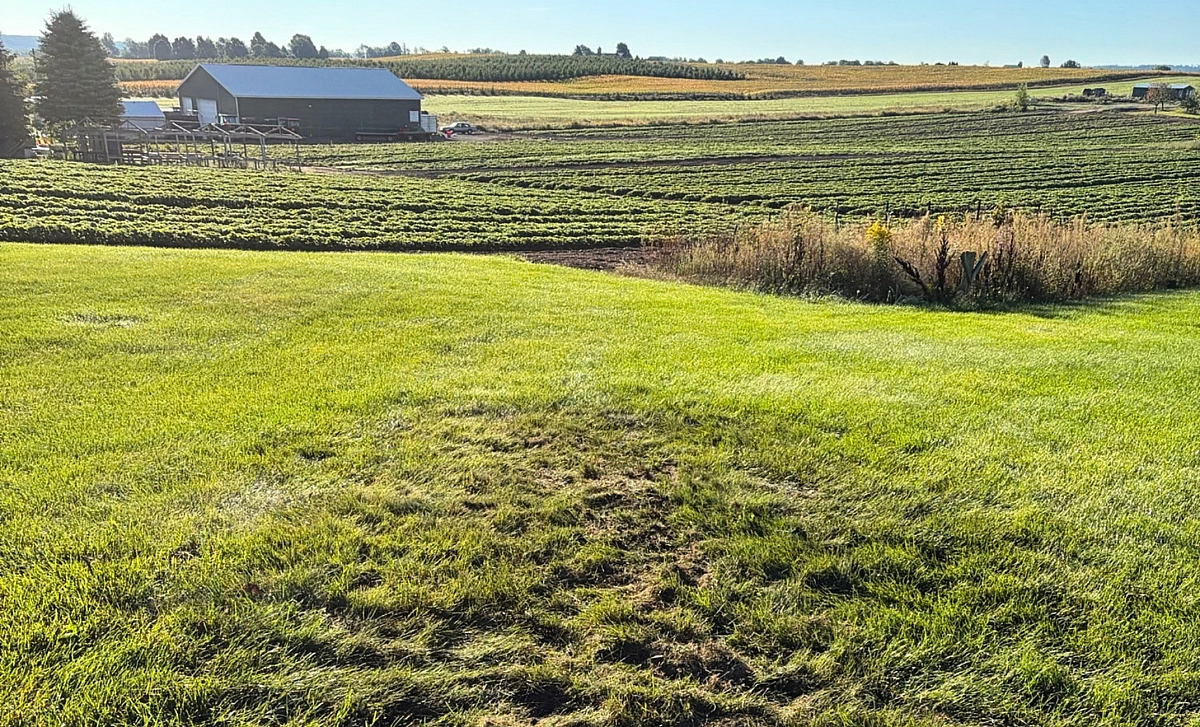 From recurring water to peace of mind in hart mi blog