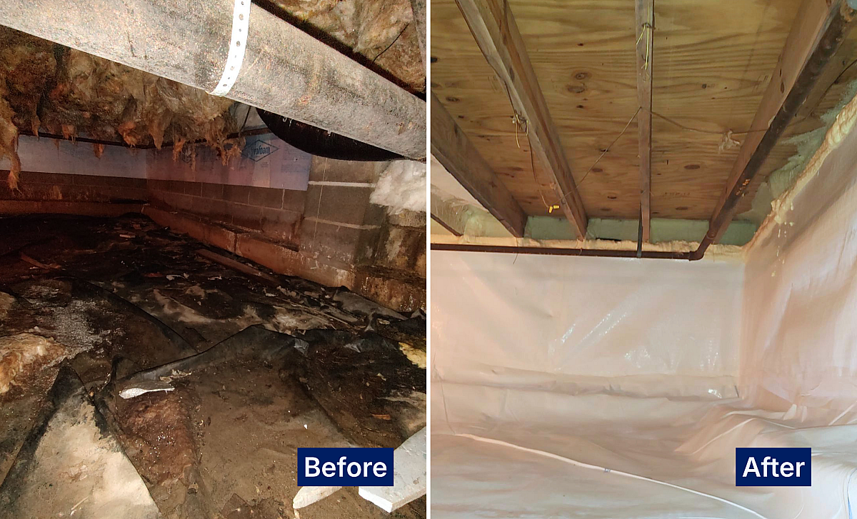 Why is my crawl space wet what every michigan homeowner should know