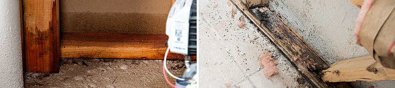 Photos Are the Wood Panels in Your Basement Hiding Mold