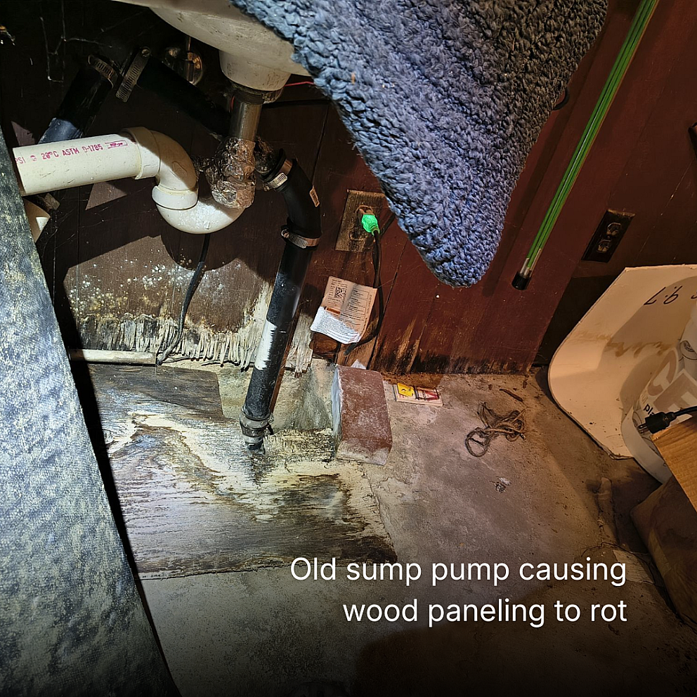 How to choose the best dehumidifier for your basement 2