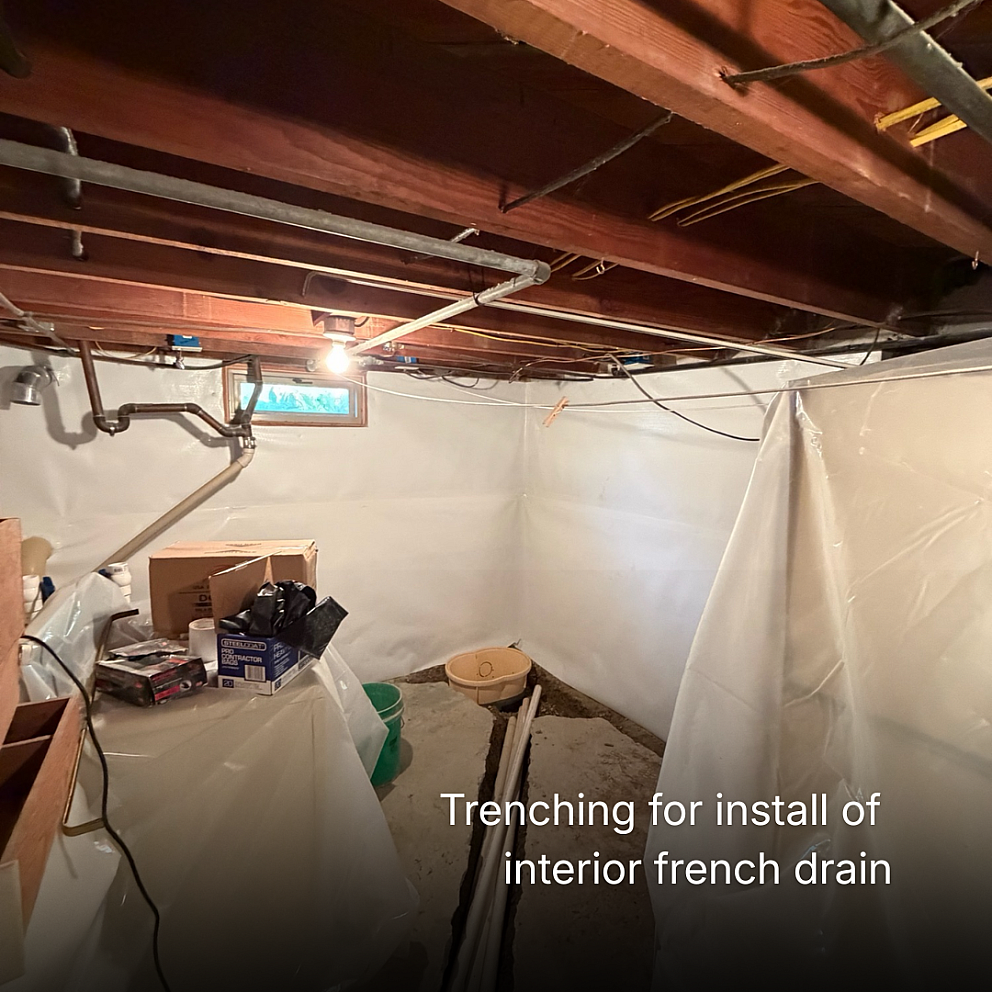 How to choose the best dehumidifier for your basement 4