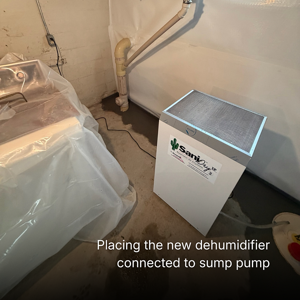 How to choose the best dehumidifier for your basement 5