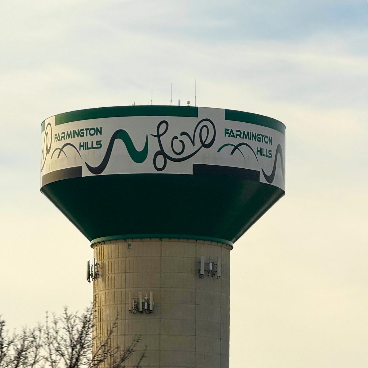 Farmington Hills City Page Image