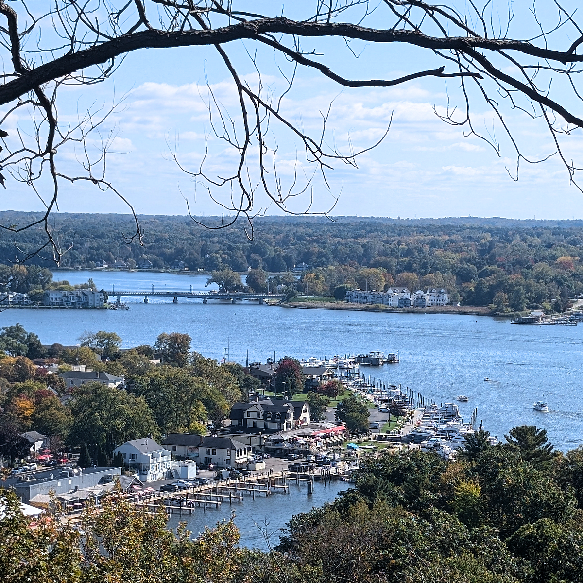 Saugatuck City Page Image
