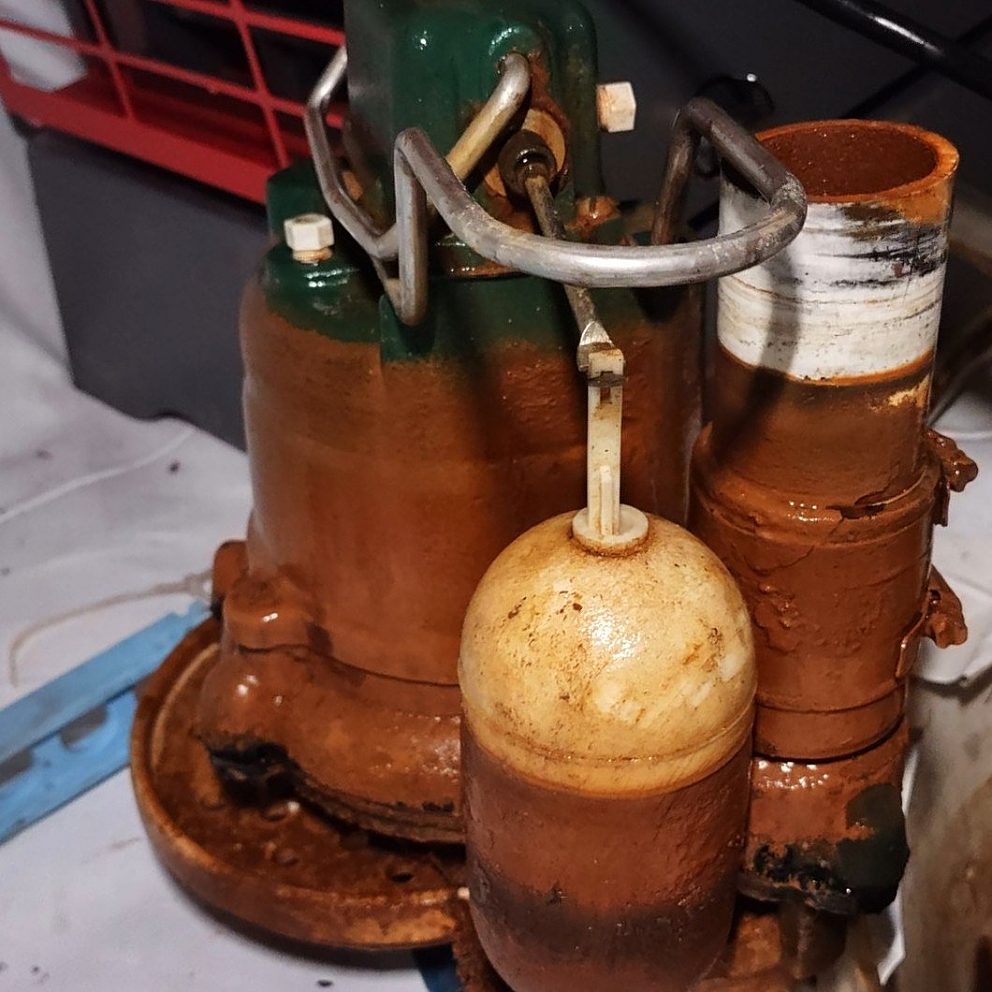 Sump Pump Before Service Iron Ochre PR212578