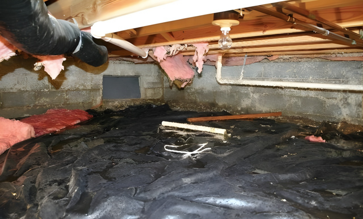 Crawl Space