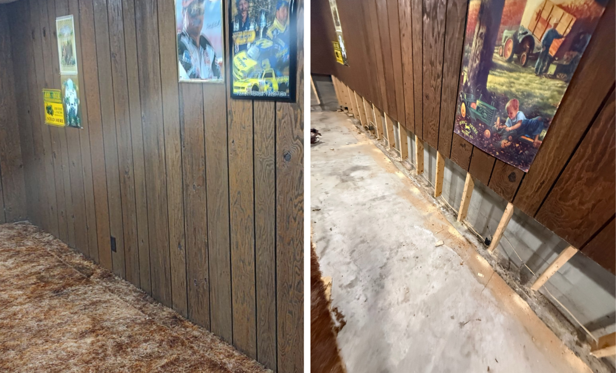 Mold and Wood Paneling