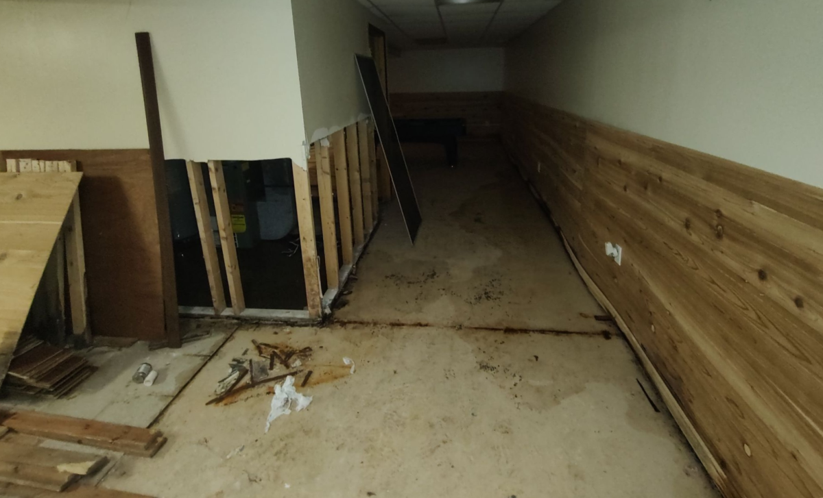 Water Puddles in Your Basement Heres Whats Causing Them