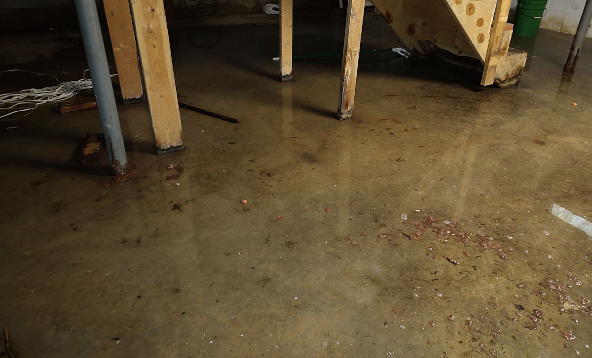 Wet Basement After Rain The Real Reasons Your Water Problems Dont Disappear