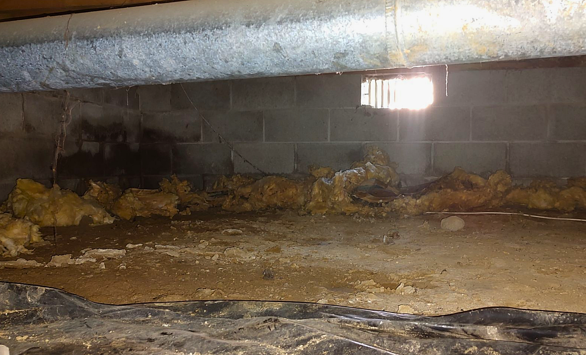 Why Crawl Space Maintenance Is Essential for Your Cabins Longevity