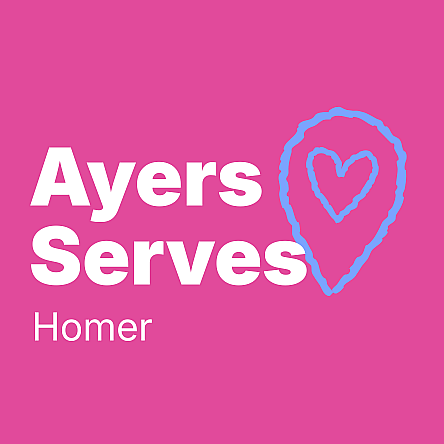 Homer MI City Page Image