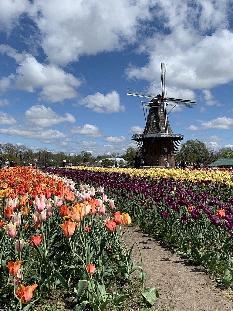 City of holland page