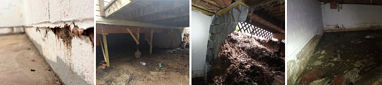 Flooding and your foundation 2