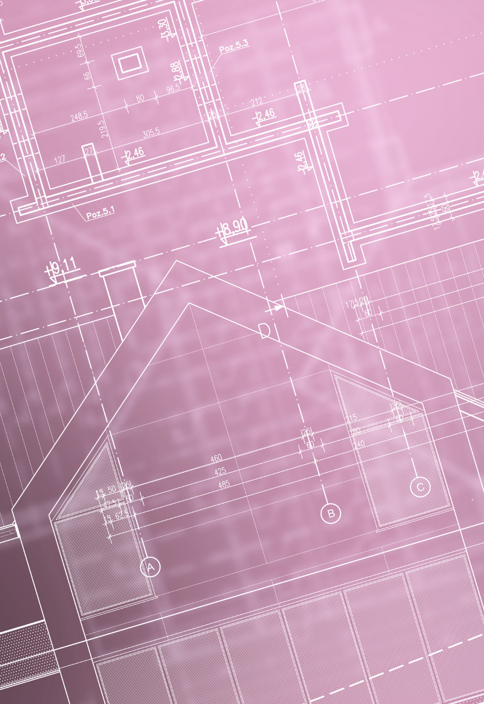 Blueprint placeholder pink