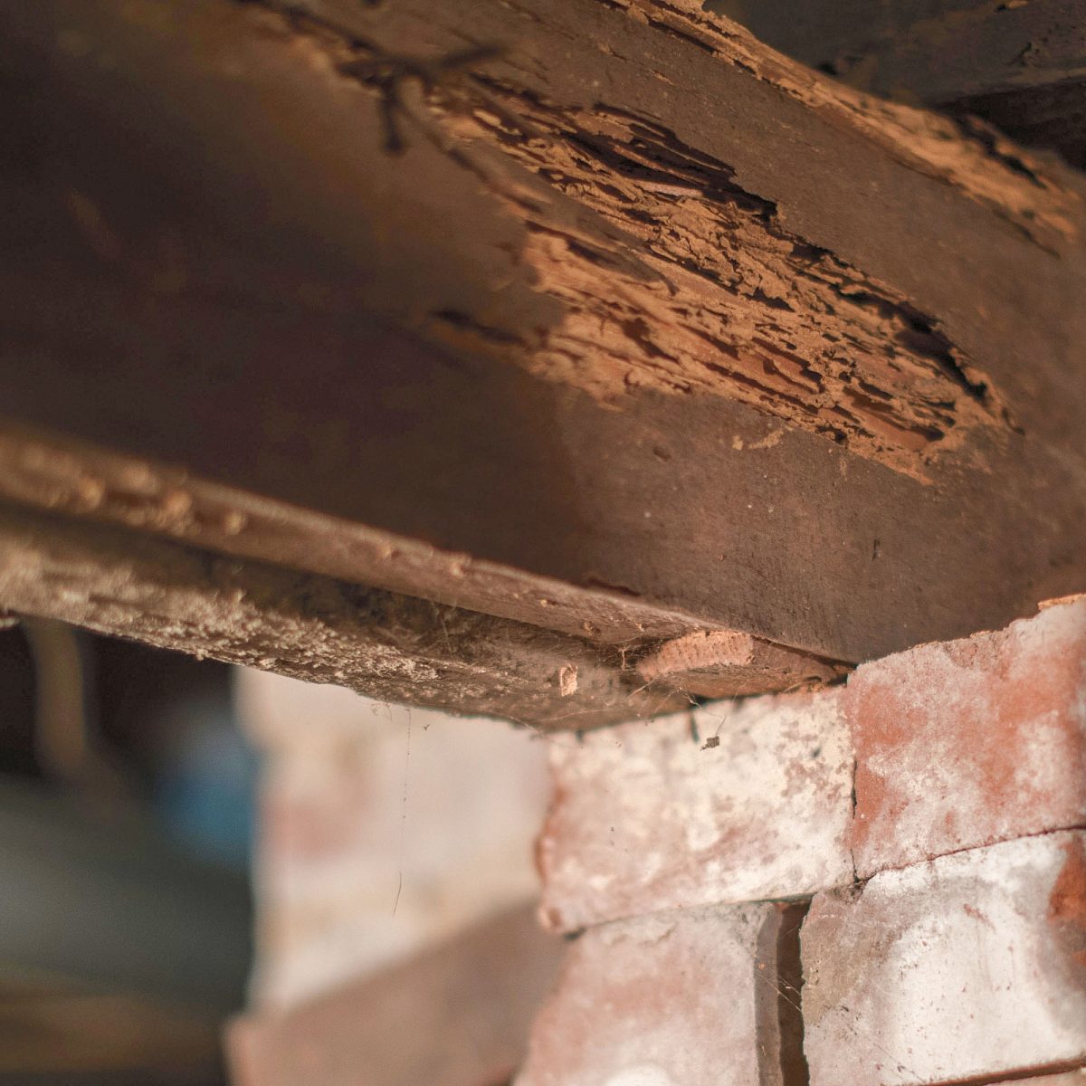 Rotting floor joists crawl