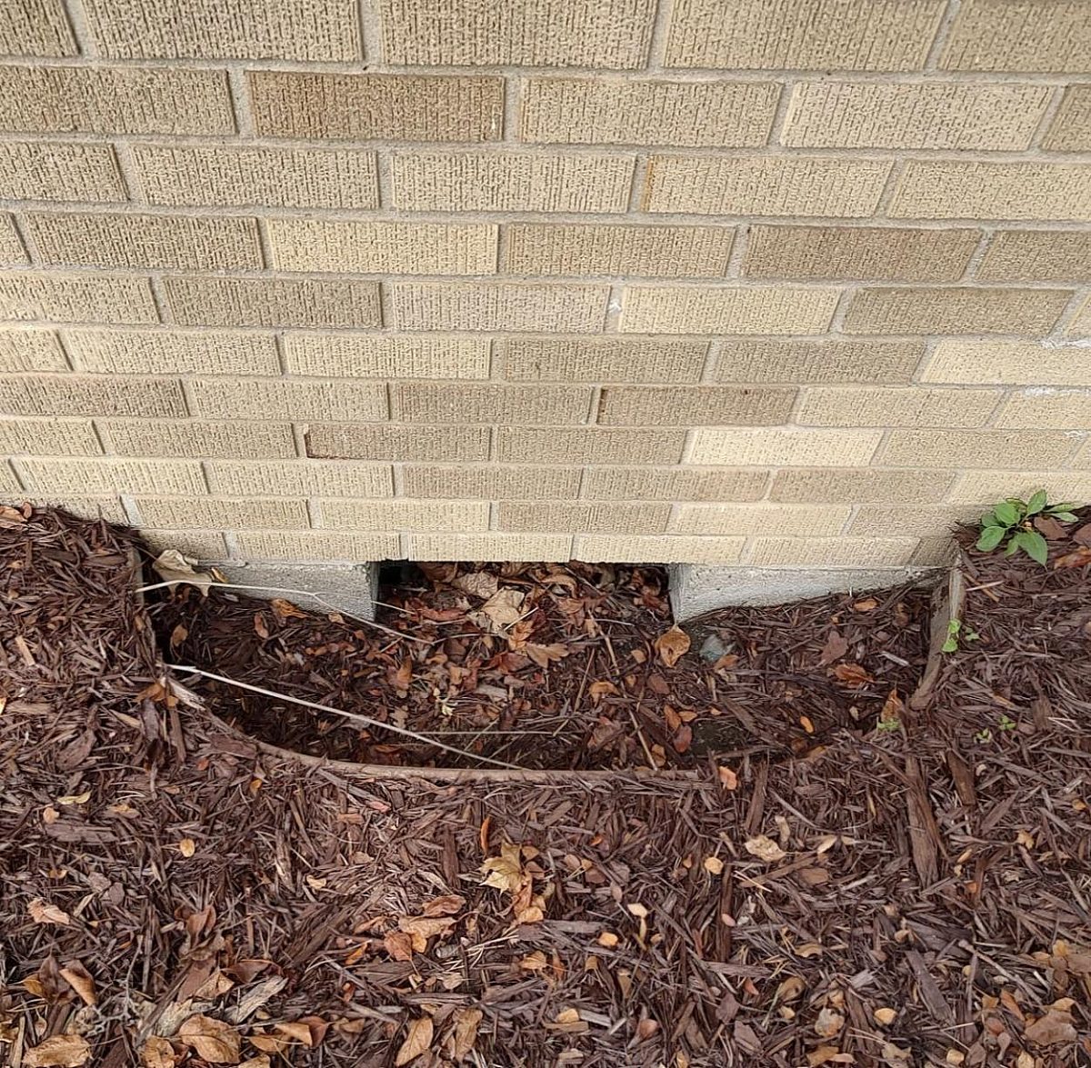 1131 Old Hickory Lane Outside Before