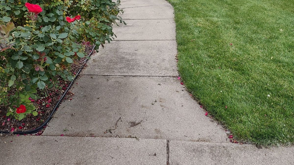 5585 Wild Iris Ln Before