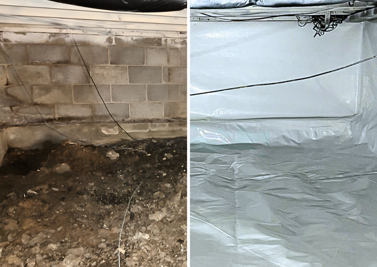 Crawl Space Health Blog Cover