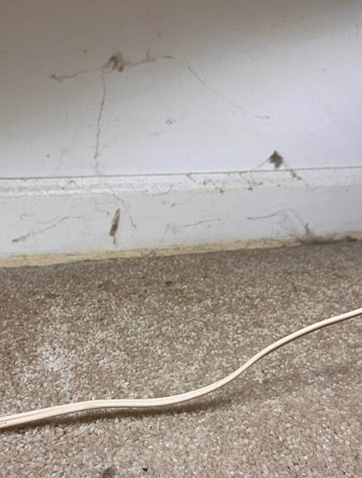 52589 Helvie Dr After