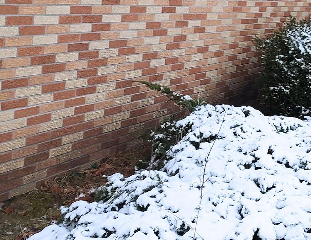 54952 County Rd 653 Before